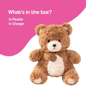 ChattyBear AI-smart learning plushie teddy bear for kids with interactive storytelling and multilingual voice features