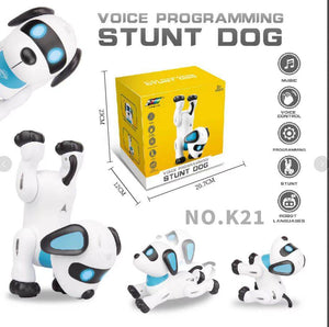 K21 Intelligent Voice-Controlled stunt robot dog toy in colorful packaging