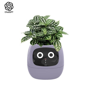 AI GrowBuddy Smart Plant Care System Ivy with expressive face and sensors for interactive plant care and STEM learning for kids