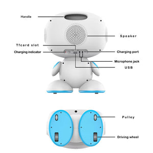 AI-Powered STEM Learning and Playing Robot