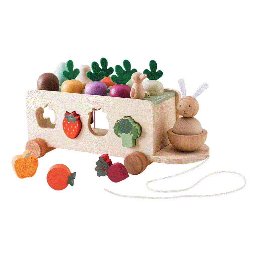 Educational Wooden Farm Toy for Toddlers