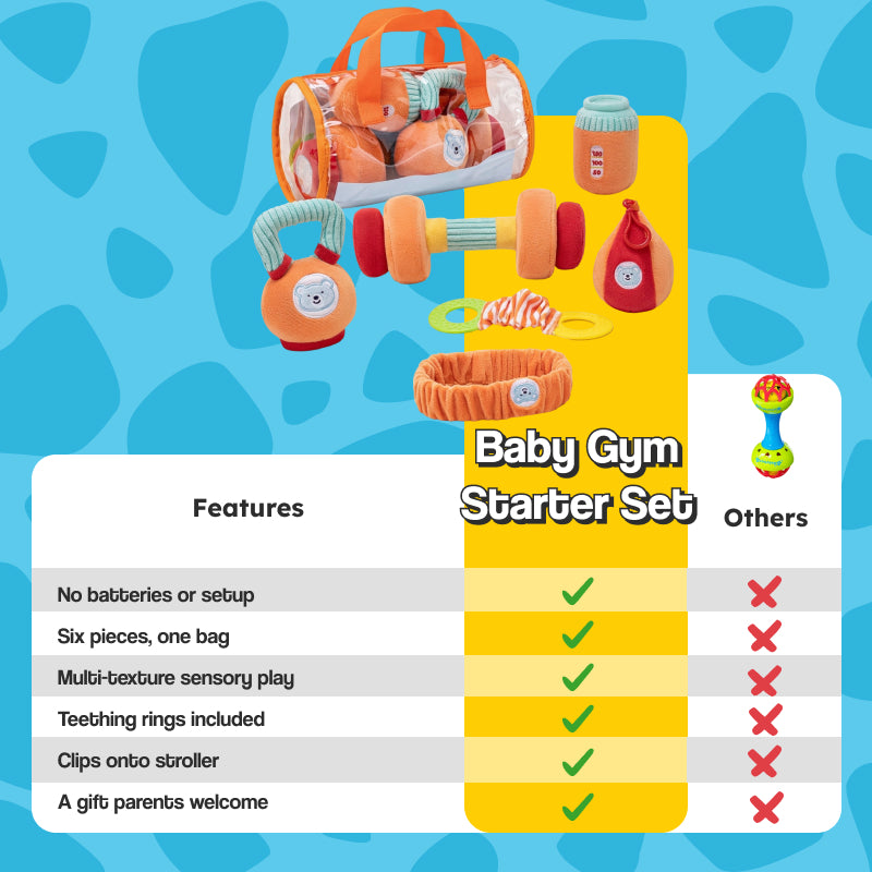 Baby Gym Starter Set